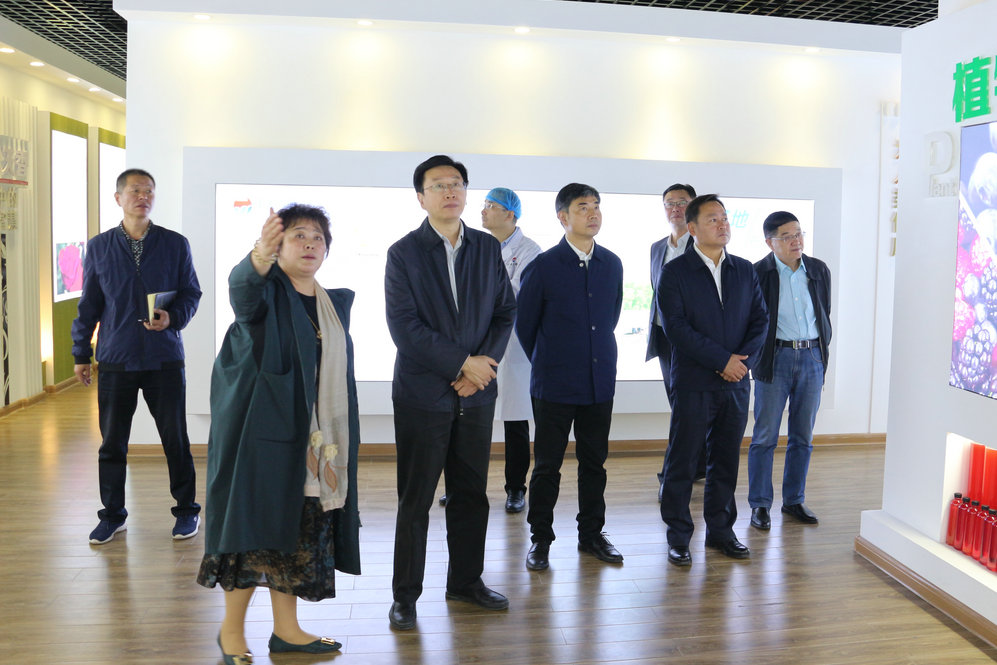 2020年11月2日省政府食安辦副主任，省市場(chǎng)監(jiān)督管理局副局長(zhǎng)王建防到公司調(diào)研指導(dǎo)工作.JPG